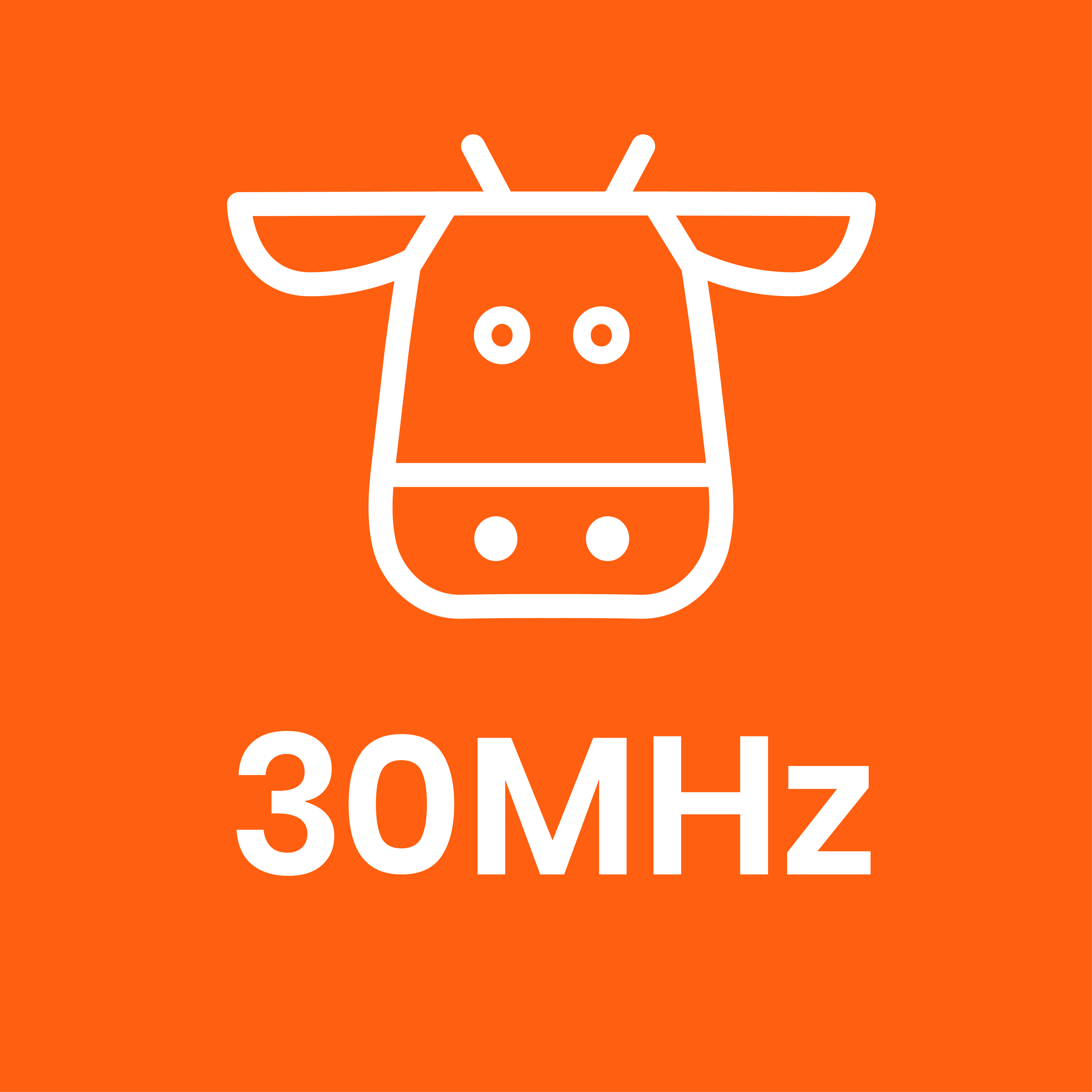 30MHz logo